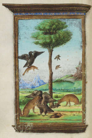 Aesop. - фото 1 Aesop. - фото 1