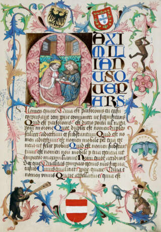 Lehrbuch für Maximilian I. - Foto 1 Lehrbuch für Maximilian I. - Foto 1