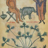 Medicina y Farmacia de Federico II. - photo 1