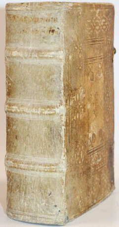 Dasypodius, P. - фото 2 Dasypodius, P. - фото 2