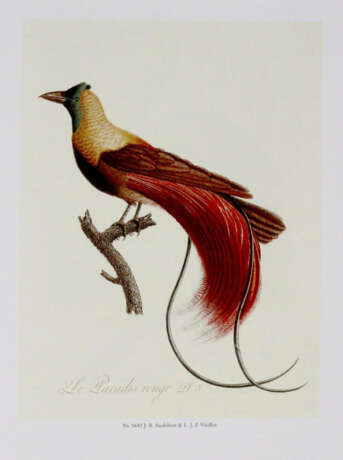 Sammlung - фото 1 Sammlung - фото 1