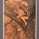 Meyer, B. - фото 2