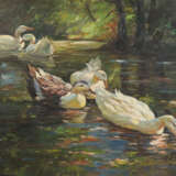 Fünf schwimmende Enten. - фото 1