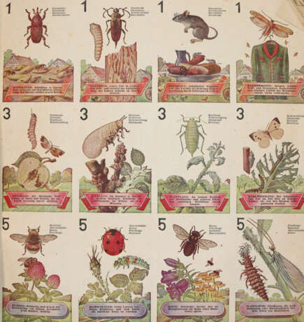 Was nützt - was schadet uns? - Foto 2