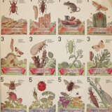 Was nützt - was schadet uns? - Foto 2