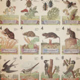 Was nützt - was schadet uns? - Foto 3