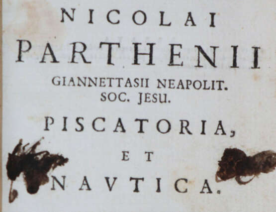 Giannettasio, N.P. - photo 4