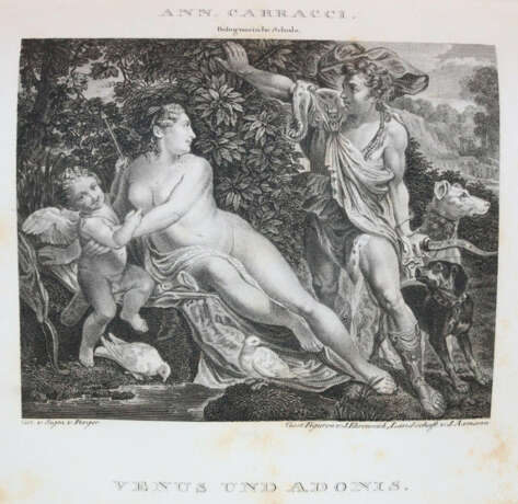 Haas, C. - фото 3