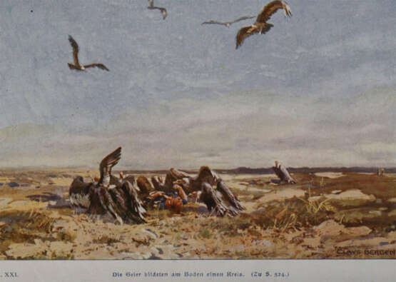 May, K. - фото 2