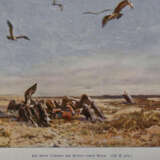 May, K. - фото 2