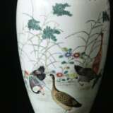 Qing Dynasty Qianlong pastels glaze geese reed ornamental bottle - Foto 5
