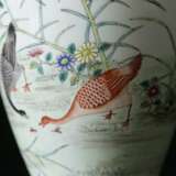 Qing Dynasty Qianlong pastels glaze geese reed ornamental bottle - фото 7