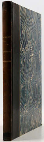 Delmet, P. - photo 2