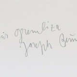 Beuys, J. - фото 1