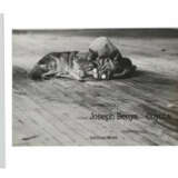 Beuys, J. - фото 3