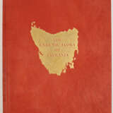 Buchheister, C. - фото 6