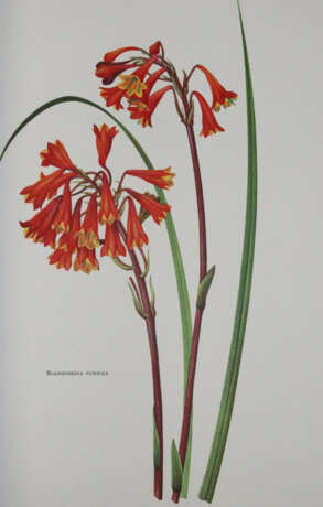 Buchheister, C. - фото 9 Buchheister, C. - фото 9