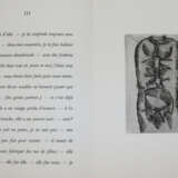 Dotremont, C. - photo 3