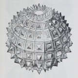 Galileo a Padova. - Foto 3