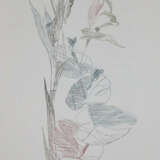 Goethe, J.W.v. - photo 1