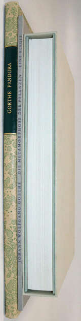 Goethe, J.W.v. - photo 4