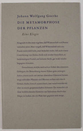 Goethe, J.W.v. - photo 5