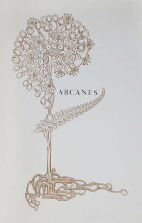 Mendes, C. - photo 1