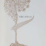 Mendes, C. - photo 1