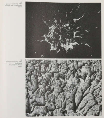 Luther, Adolf - фото 3