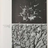 Luther, Adolf - фото 3