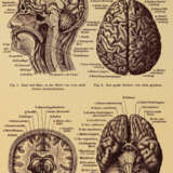 Mariannenpresse. - Foto 5