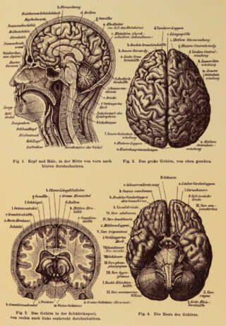 Mariannenpresse. - Foto 5