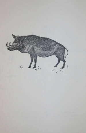 Mechtel, A. - photo 5