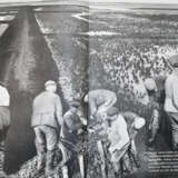 (Carstensen, P.C., H.Hitzer u. F.Richter). - фото 1