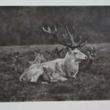 Werner, S. - photo 3