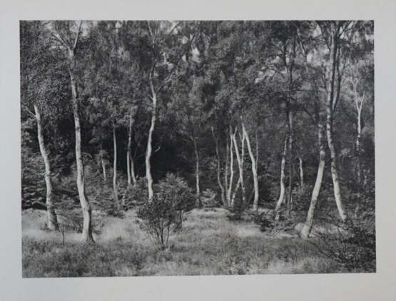 Werner, S. - photo 4 Werner, S. - photo 4