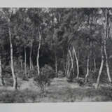 Werner, S. - photo 4