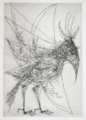 Hauff, W. - photo 4 Hauff, W. - photo 4