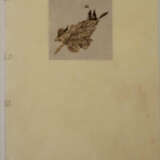 Rauh, C.W. - photo 2