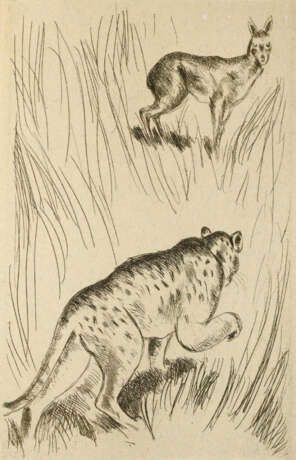 Sammlung - фото 1