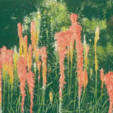 Suff, David - фото 2