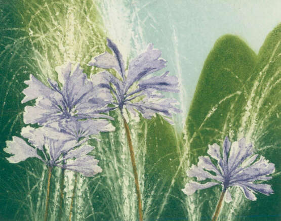 Suff, David - фото 3