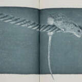 Conrad, J. - фото 6