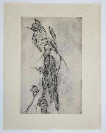 Zürn, U. - photo 13 Zürn, U. - photo 13