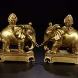 A Pair of copper gilt elephants in the Qing Dynasty - Foto 1