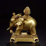 A Pair of copper gilt elephants in the Qing Dynasty - photo 4