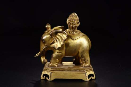 A Pair of copper gilt elephants in the Qing Dynasty - Foto 4