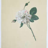 Blaschek, Franz. (1787-1868). - photo 1