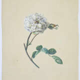 Blaschek, Franz. (1787-1868). - photo 2