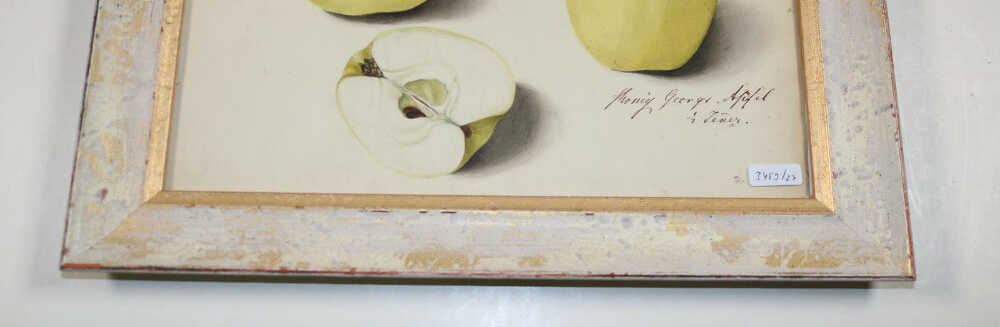 Blaschek, Franz. (1787-1868) Blaschek, Franz. (1787-1868)